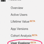 User Explorer: Google Analytics’ New Tool to View Individual Website Interactions